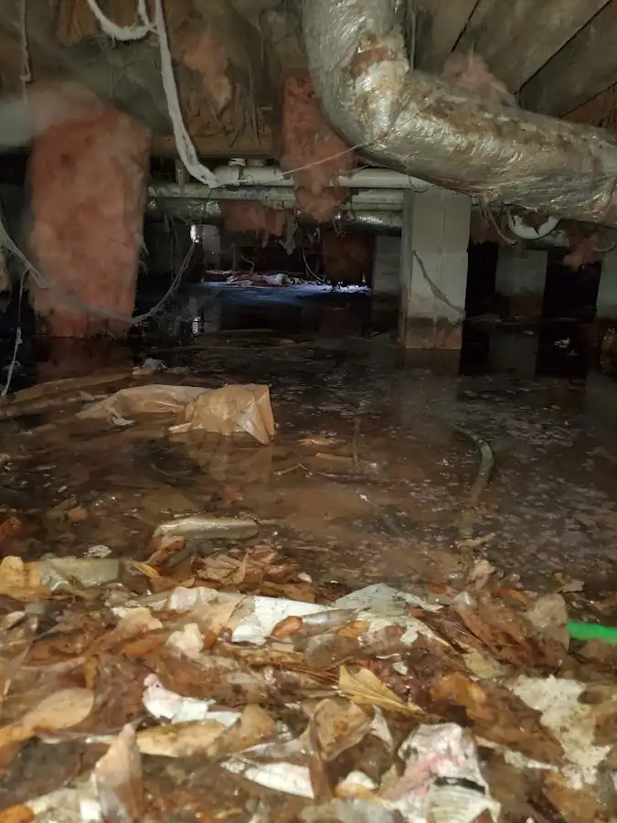 Crawl space flood assessment for Commercial Water Damage Restoration in Riverdale